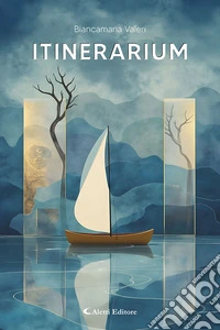 Itinerarium libro