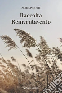Raccolta reinventavento libro