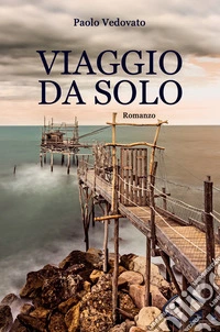 Viaggio da solo libro