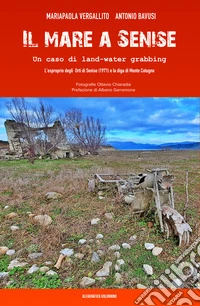Il mare a Senise. Un caso di land-water grabbing. L'esproprio degli orti di Senise (1971) e la diga di Monte Cotugno libro