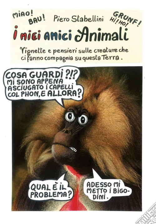 I miei amici animali