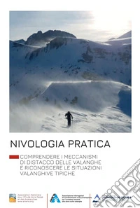 Nivologia pratica. Comprendere i meccanismi di distacco delle valanghe e riconoscere le situazioni valanghive tipiche. Ediz. illustrata libro