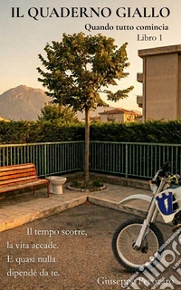 Quando tutto comincia. Il quaderno giallo. Vol. 1