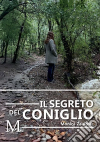 Il segreto del coniglio libro