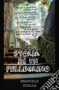 Storia di un pellegrino libro