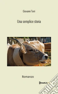 Una semplice storia