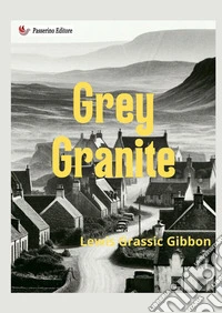Grey Granite libro