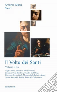 Il volto dei santi. Vol. 3 libro