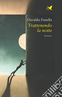 Trattenendo la notte libro