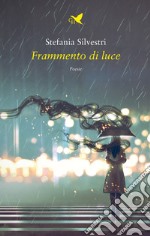 Frammento di luce