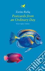 Postcards from an ordinary day