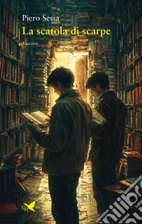 La scatola di scarpe libro