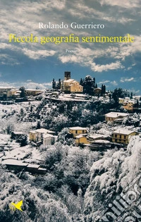Piccola geografia sentimentale libro