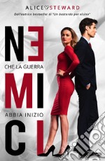 Nemici libro