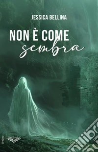 Non è come sembra libro