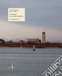 Un paesaggio tutelato. Venezia e la sua laguna. Ediz. illustrata libro