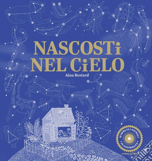 Nascosti nel cielo. Ediz. a colori