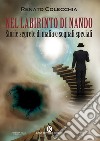 Nel labirinto di Nando. Storie segrete di mafia e segnali speciali libro