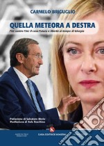 Quella meteora a destra. Fini contro Fini: il caso Futuro e Libertà al tempo di Giorgia libro