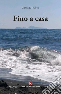 Fino a casa libro