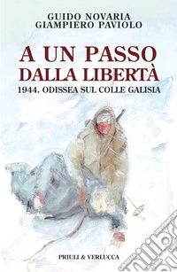 A un passo dalla libertà. 1944. Odissea sul colle Galisia libro