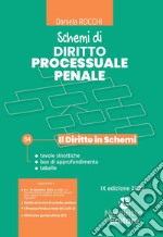 Schemi di diritto processuale penale libro