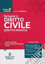 Schemi di diritto civile (diritto privato) libro