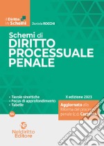 Schemi di diritto processuale penale libro