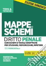 Mappe e schemi di diritto penale libro