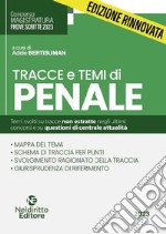 Tracce e temi di penale per il concorso in magistratura 2023 libro