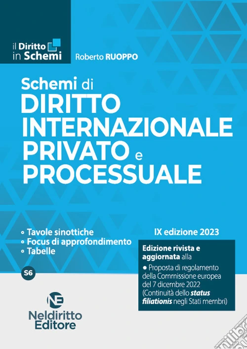 Schemi di diritto internazionale privato e processuale