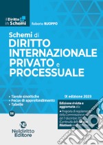 Schemi di diritto internazionale privato e processuale libro