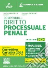 Compendio di procedura penale 2024. Aggiornato al Decreto correttivo alla Riforma Cartabia. Per prova scritta e orale esame avvocato. Nuova ediz. libro di Pontillo Stefania Saladino Vincenzo