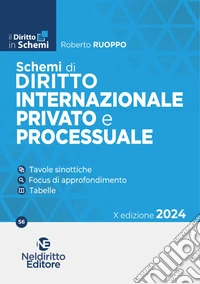 Schemi di diritto internazionale provato e processuale