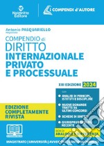 Compendio di diritto internazionale privato e processuale libro