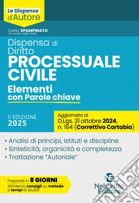 Dispensa di Procedura Civile. Aggiornata al Decreto Correttivo Cartabia D.Lgs. 31 ottobre 2024, n. 164 libro