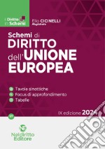 Schemi di diritto dell'Unione Europea libro