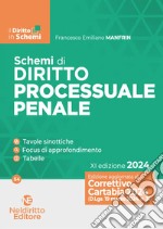 Schemi di diritto processuale penale libro