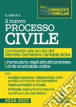 Nuovo processo Civile. Commento alle novità del Decreto Correttivo Cartabia D.Lgs. 31 ottobre 2024, n. 164 libro