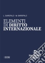 Elementi di diritto internazionale libro