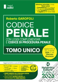 Codice Penale e di Procedura penale 2025 normativo per il Concorso in Magistratura. Aggiornato al DL Sicurezza libro