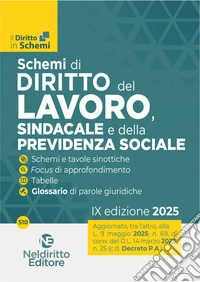 Schemi di diritto del lavoro 2025 libro