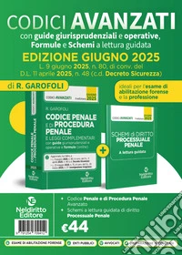 Codice penale e di procedura penale avanzato, con guide giurisprudenziali e operative, formule e schemi a lettura guidata aggiornato alla L. 9 giugno 2025, n. 80, di conv. del D.l. 11 aprile 2025, n. 48 c.d. Decreto Sicurezza. Con espansione online libro