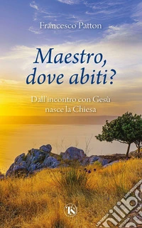 Maestro, dove abiti? Dall'incontro con Gesù nasce la Chiesa libro