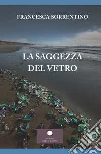 La saggezza del vetro libro
