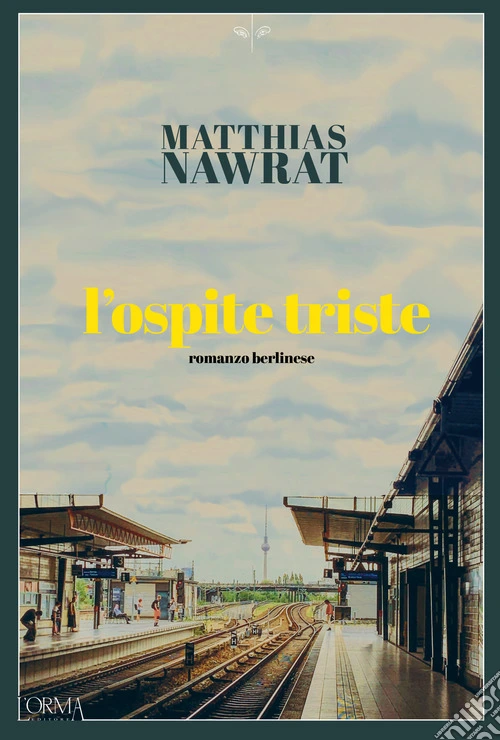 L'ospite triste
