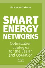 Smart energy networks. Optimization strategies for the design and operation