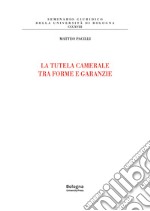 La tutela camerale fra forme e garanzie