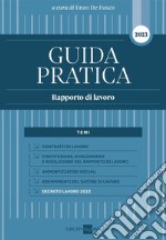 Guida pratica. Rapporto di lavoro libro