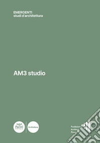 Am3 studio libro